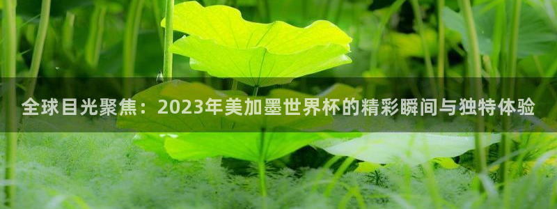 全球目光聚焦：2023年美加墨世界杯的精彩瞬间与独特体验