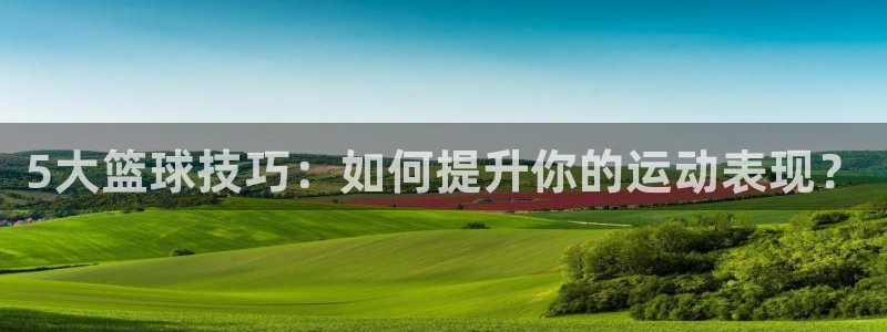 5大篮球技巧：如何提升你的运动表现？