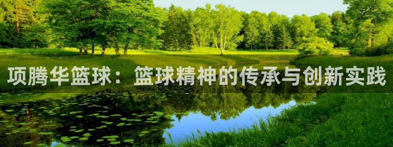项腾华篮球：篮球精神的传承与创新实践