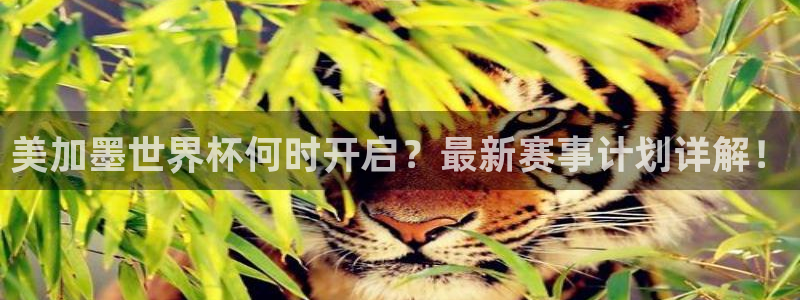 美加墨世界杯何时开启？最新赛事计划详解！