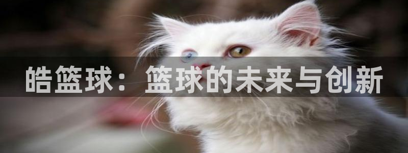 皓篮球：篮球的未来与创新