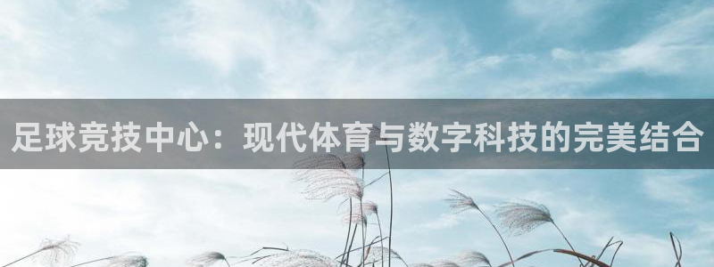 足球竞技中心：现代体育与数字科技的完美结合