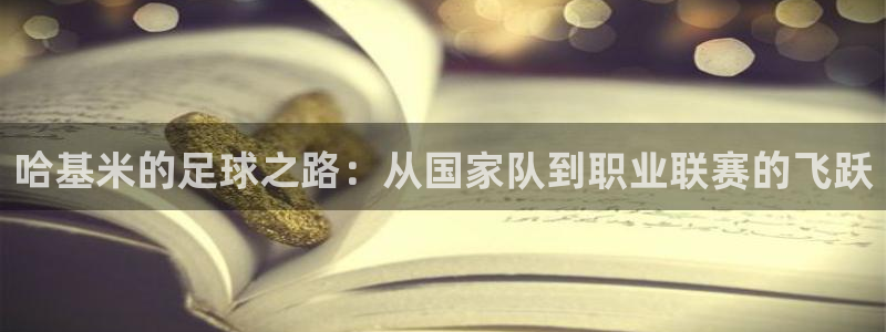 哈基米的足球之路：从国家队到职业联赛的飞跃