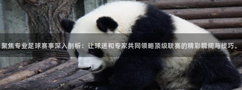 聚焦专业足球赛事深入剖析：让球迷和专家共同领略顶级联赛的精彩瞬间与技巧。