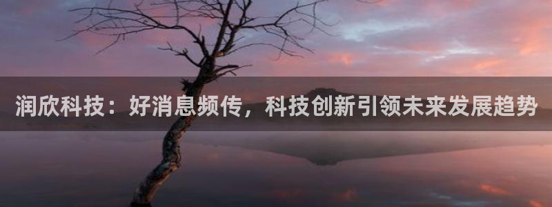 润欣科技：好消息频传，科技创新引领未来发展趋势
