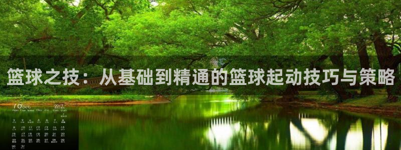 篮球之技：从基础到精通的篮球起动技巧与策略